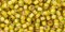 Toho 8/0 Round Japanese Seed Bead, TR8-302, Inside Color Jonquil/Apricot Lined
